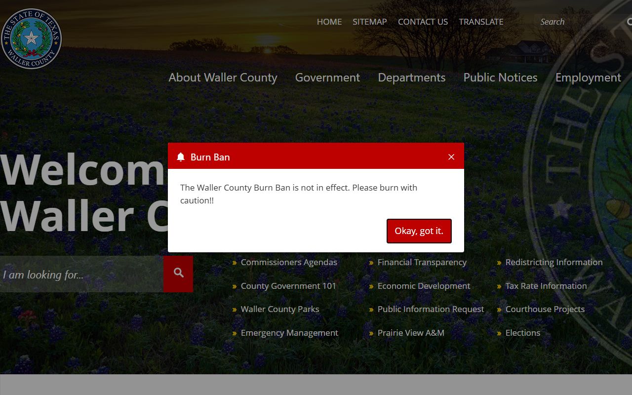 Waller County 72 hour booking records